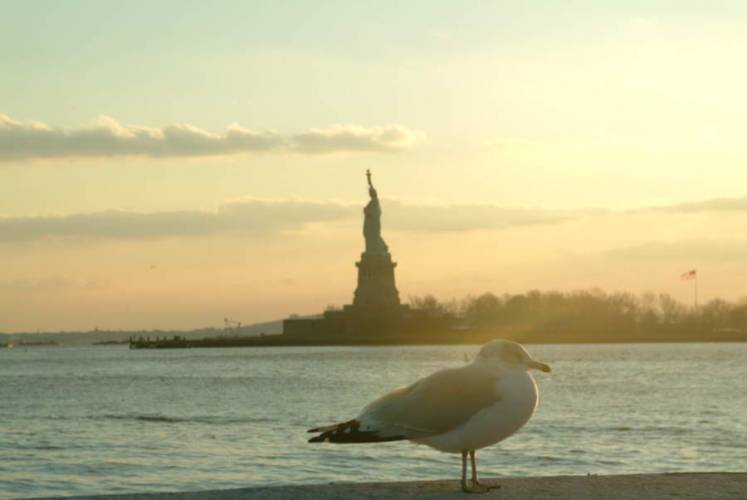 NYC_2006-12-05 15-52-01